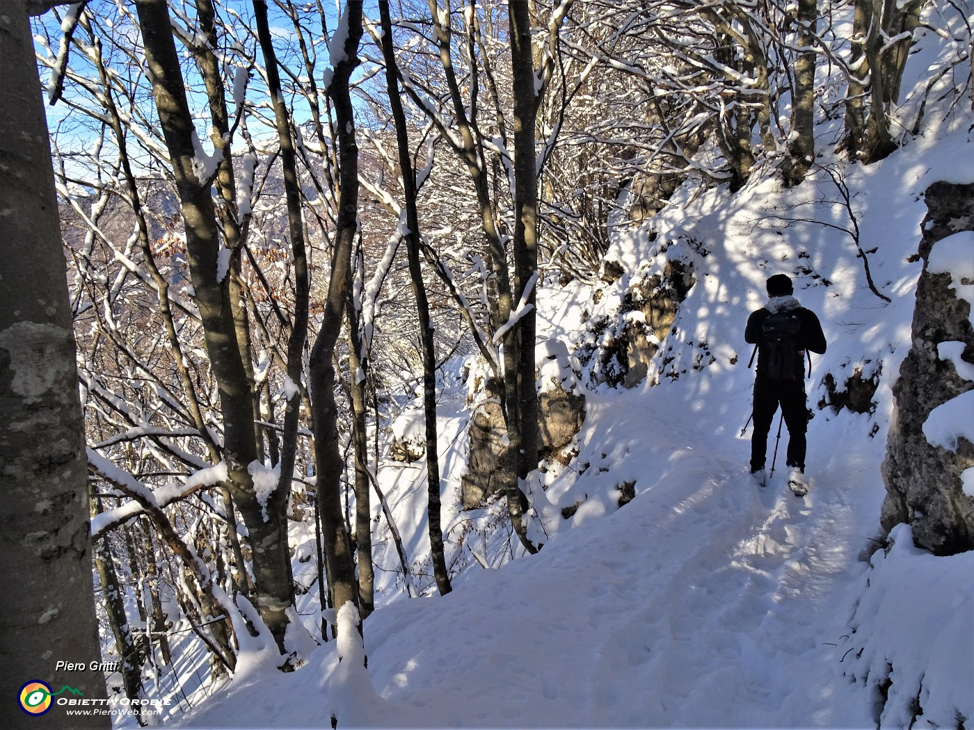 06 Bella la discesa , camminando morbidamente  su tappeto di neve .JPG